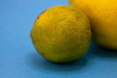 Canlı yeşil bir kireç, parlak mavi bir yüzeyde sarı bir limonun yanında oturur. Pişirmek ve içmek için taze narenciye sunar..