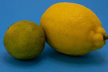 Yeşil bir kireç ve sarı bir limon mavi bir zemin üzerine konur, turunçgillerin canlı renklerini betimler..