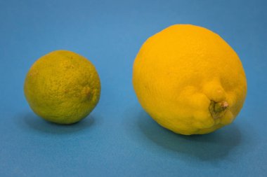Mavi arka planda yeşil bir limon ve sarı bir limon, iki popüler narenciye meyvesiyle çelişiyor..