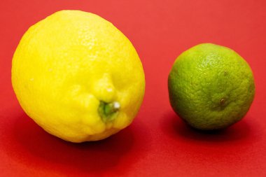 Parlak sarı bir limon ve yeşil bir limon kırmızı bir zeminde oturur..