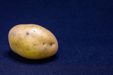 Taze sarı bir patates koyu mavi bir arka planda sergilenir, doğal dokusunu ve şeklini vurgular..