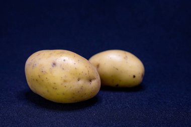 Koyu mavi bir yüzeyde iki taze patates, pişirmeye ya da tüketmeye hazır..