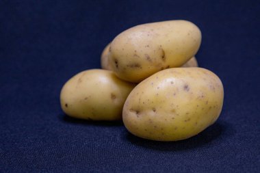 Taze, açık tenli küçük bir patates yığını, aşçılık kullanımına hazır koyu mavi bir kumaş zemin üzerinde duruyor..