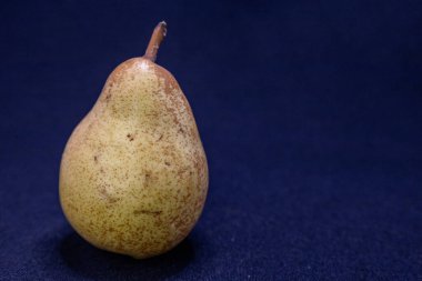 Lekeli derisi olan tek bir olgun armut koyu mavi bir yüzeyde duruyor, doğal biçimini ve dokusunu sergiliyor..