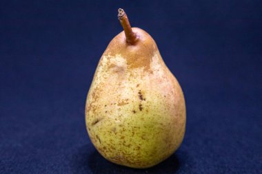 Tek bir olgun armut, muhtemelen bir Bosc, koyu mavi bir arka plana karşı duruyor, doğal güzelliğini ve dokusunu sergiliyor..