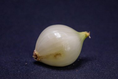 Taze, kabuğu soyulmuş beyaz soğan, koyu mavi bir yüzey üzerinde dinlenmek üzere mutfak için hazırdır..