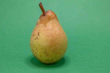 Kahverengi saplı tek bir olgun armut, sade yeşil bir zemin üzerinde duruyor. Sağlıklı bir meyve olarak tadını çıkarmaya hazır..