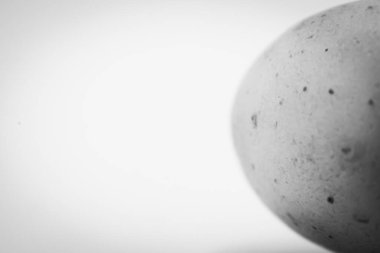 Simsiyah ve beyaz bir yakın plan bir yumurtanın benekli dokusunu ortaya çıkarır, doğal güzelliğini ve karmaşık yüzeyini vurgular..