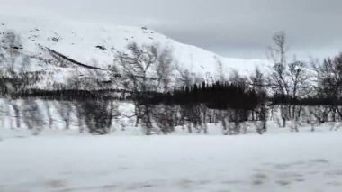 Arabanın penceresinden yavaş çekim görüntüsü donmuş bir göl, çıplak ağaçlar ve gri gökyüzünün altındaki karlı tepeleri gösteriyor.. 