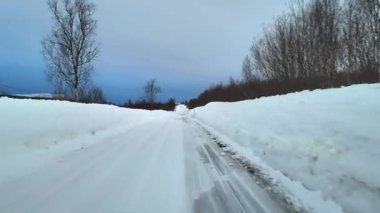 Mavi gökyüzünün altında çıplak ağaçlarla kaplı buzlu yolda ilerleyen araba, alacakaranlıkta donmuş kuzey manzarasına doğru yavaşça yaklaşıyor.. 