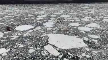 Yükselen kamera hareketi, karanlık deniz dokusundan geniş donmuş panoramaya, ölçeklendirme, soğuk atmosfer ve kutup izolasyonuna dönüşür..