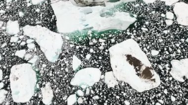 Yükselen hava perspektifi, katmanlı donmuş denizi, mavi sualtı buzunu, engebeli kara kütlesini ve uçsuz bucaksız kutup durgunluğunu gözler önüne serer..