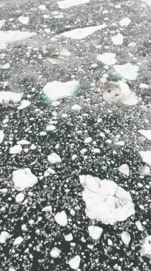 İleri hava hareketi, donmuş denizden ıssız yelkenliye bakış açısını yükseltir. Geniş buzlu ufuk, bulutlu gökyüzü ve uzak kutup sükunetini ortaya çıkarır..