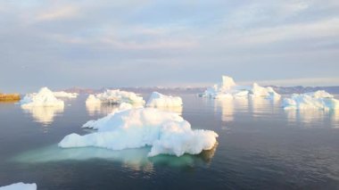 Grönland, Saqaq 'da güzel bir günbatımı sırasında sakin kutup sularında sürüklenen görkemli buzdağları.