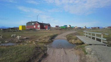 Grönland 'ın küçük bir kasabası olan Saqqaq' da tahta bir köprüden geçen ilk kişi görülüyor.