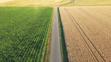 Mısır, buğday ve geniş üzüm bağları da dahil olmak üzere tarım tarlaları üzerinde uçan hava görüntüleri