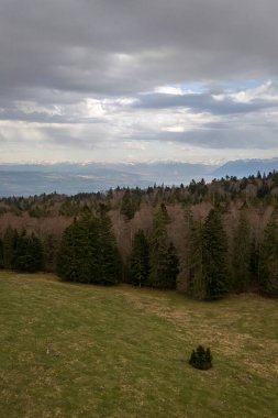 Cenevre Gölü 'ne ve karlı Alplere bakan Jura tepeleri üzerindeki hava manzarası.