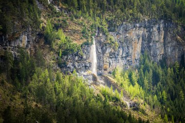Şelale, Alpler 'de sık ormanlarla çevrili dik bir kaya yüzeyinden aşağı akar.