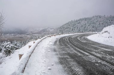 Fransa Pireneleri 'nin güneyinde, taze kar altında orman manzarası. Aude, Occitanie' deki Camurac 'taki tüm ferahlıkları karların kapladığı bulutlu hava..