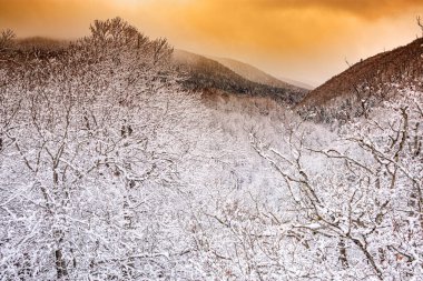 Fransa 'daki Pireneler boyunca kıvrılan Aude Nehri' nin karlı manzarası, ormanlar ve dağlarla çevrili, berrak bir gökyüzü altında huzurlu ve görkemli bir kış manzarası sağlıyor..