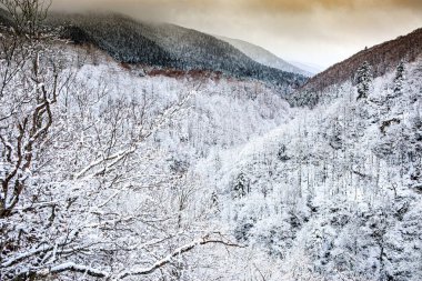 Fransa 'daki Pireneler boyunca kıvrılan Aude Nehri' nin karlı manzarası, ormanlar ve dağlarla çevrili, berrak bir gökyüzü altında huzurlu ve görkemli bir kış manzarası sağlıyor..