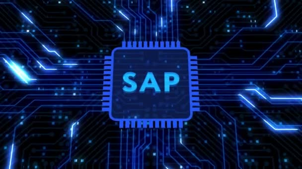 Nternet Teknoloji Konsepti Sanal Ekran Veri Merkezinde Sap Sistem Yazılım — Stok video