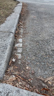 Parkta kaldırım ve taşlar