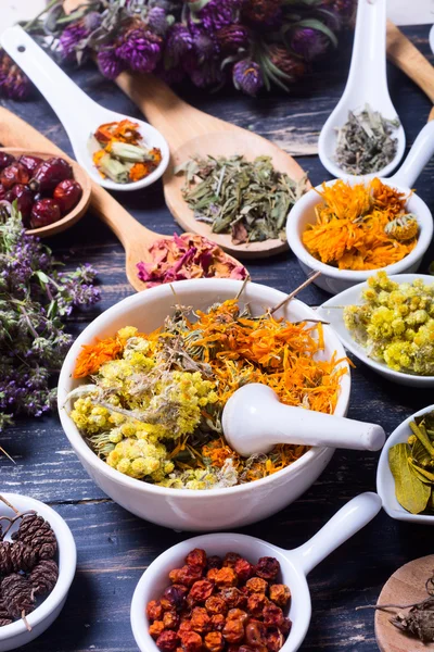 Otlar, meyveler ve çiçekler