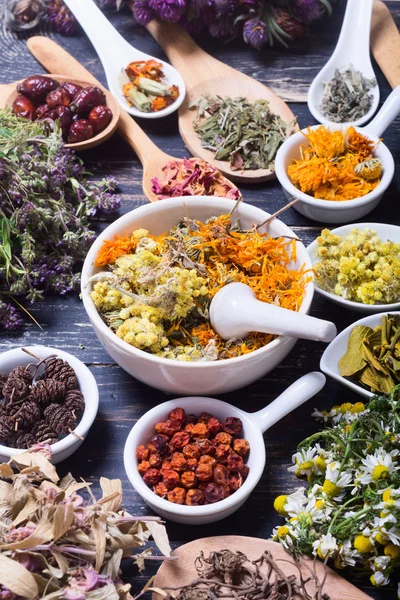 Otlar, meyveler ve çiçekler