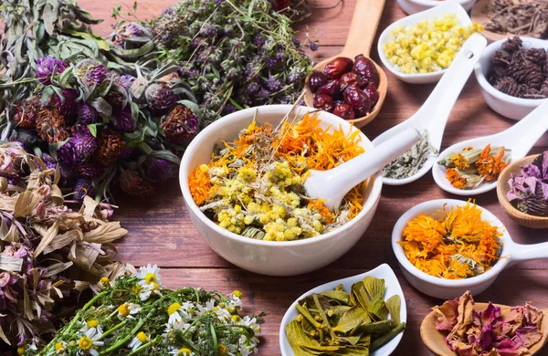 Otlar, meyveler ve çiçekler