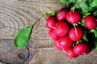 Büyük Demet taze turp