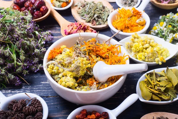 Otlar, meyveler ve çiçekler