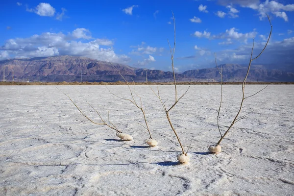Depósitos de sal, paisaje típico del Mar Muerto, Israel . — Foto de Stock