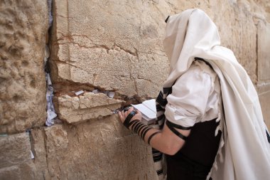 Jewish man praying at the Western wall  clipart