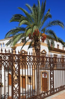 Sicilya, Cefalu 'da, parlak mavi bir gökyüzünün altında tarihi bir binanın önünde olgun hurma ağaçları ve süslü demir çitler..