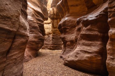 Pürüzsüz, kıvrımlı, turuncu ve kırmızı tonlarda kaya duvarları olan dar bir kumtaşı kanyonu..