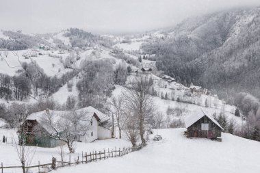 Romanya 'nın Karpat Dağları' ndaki geleneksel köy taze karla kaplı. Kışın ahşap evler, yuvarlanan tepeler, ormanlık yamaçlar ve düşen karlar, durgun mevsimlik atmosfer..