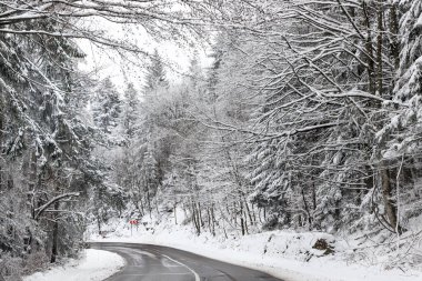 Romanya 'nın Karpat Dağları' ndaki kış ormanlarında yol. Yüksek kalite fotoğraf