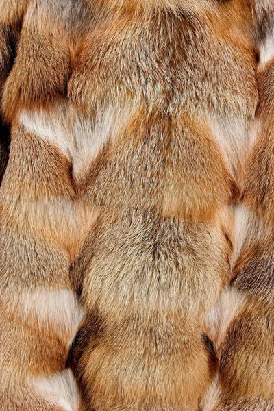 Pelliccia volpe rossa — Foto Stock