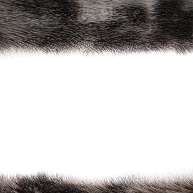 Benekli doğal kürkten güzel bir arka plan (fok))