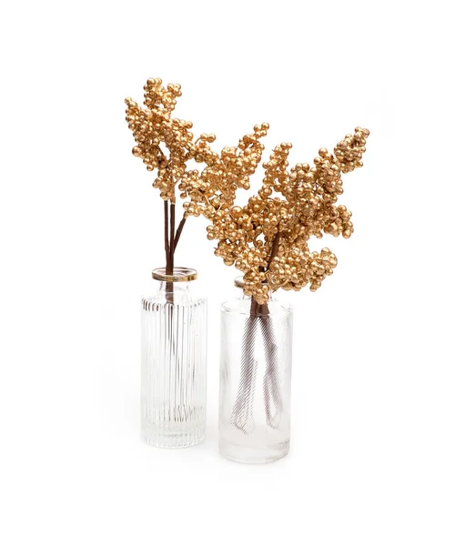 Arany Dekoratív Ágak Növények Üveg Vázák Elszigetelt Fehér Alapon — Stock Fotó