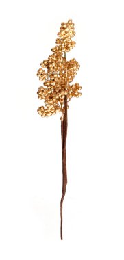 Beyaz arka planda izole edilmiş böğürtlenli altın dekoratif dal