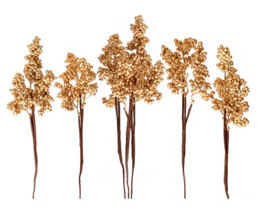 Beyaz arka planda izole edilmiş böğürtlenli altın dekoratif dallar