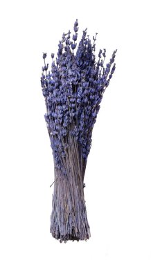 Beyaz arka planda izole edilmiş kuru kokulu lavanta buketi