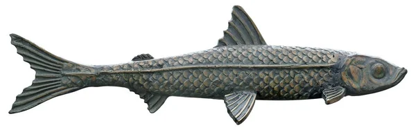 青铜鲱鱼在白色背景上被隔离 具有剪切路径的设计元素 — 图库照片