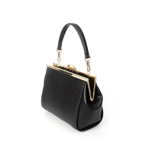 Elegante Bolso Pequeño Negro Reticulado Con Cerradura Dorada Aislada Sobre — Foto de Stock