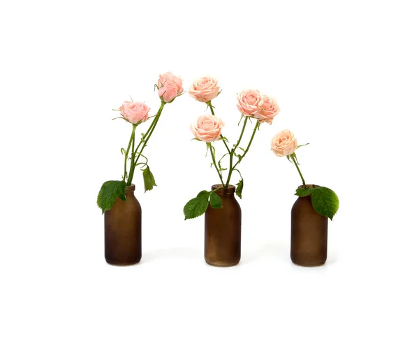 Roses Blanches Dans Vase Noir Isolé Sur Fond Blanc — Photo