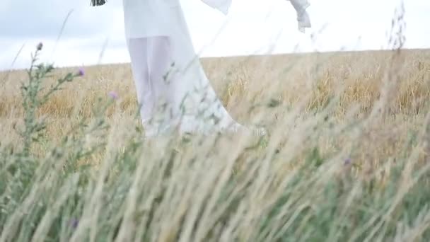 Vestido branco a resmungar ao vento. menina em um vestido branco em um campo de trigo . — Vídeo de Stock