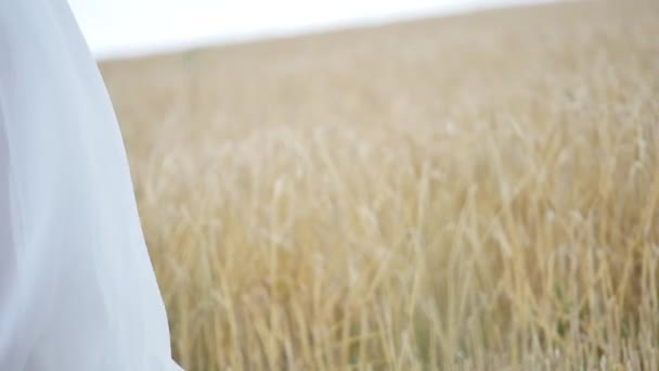 Chica vestida de blanco en el viento, caminando por un campo de trigo. .. cámara lenta . — Vídeo de stock