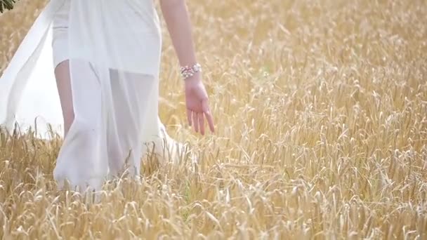 Ragazza in abito bianco al vento, passeggiando attraverso un campo di grano. . rallentatore . — Video Stock